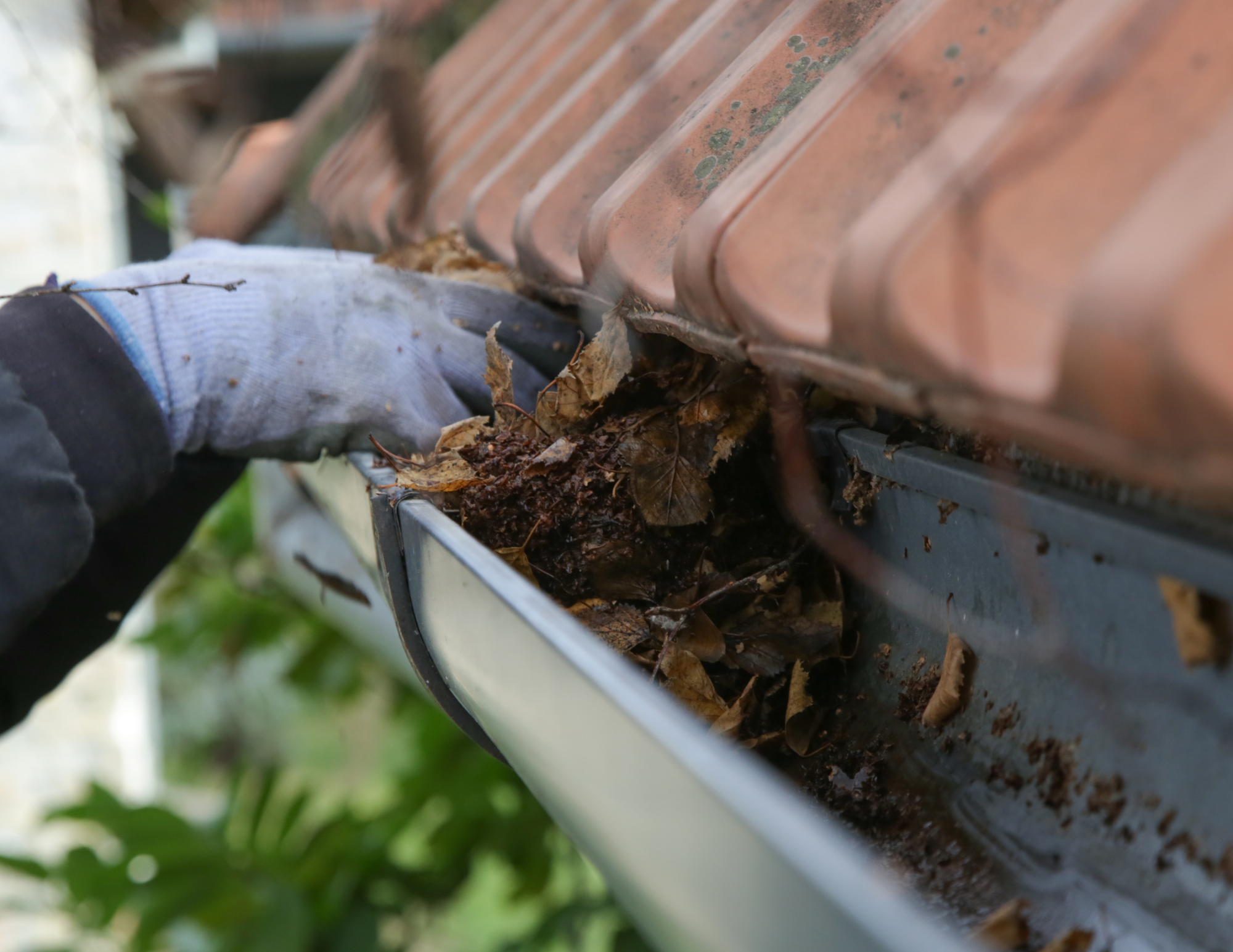 Gutter and exterior drainage service