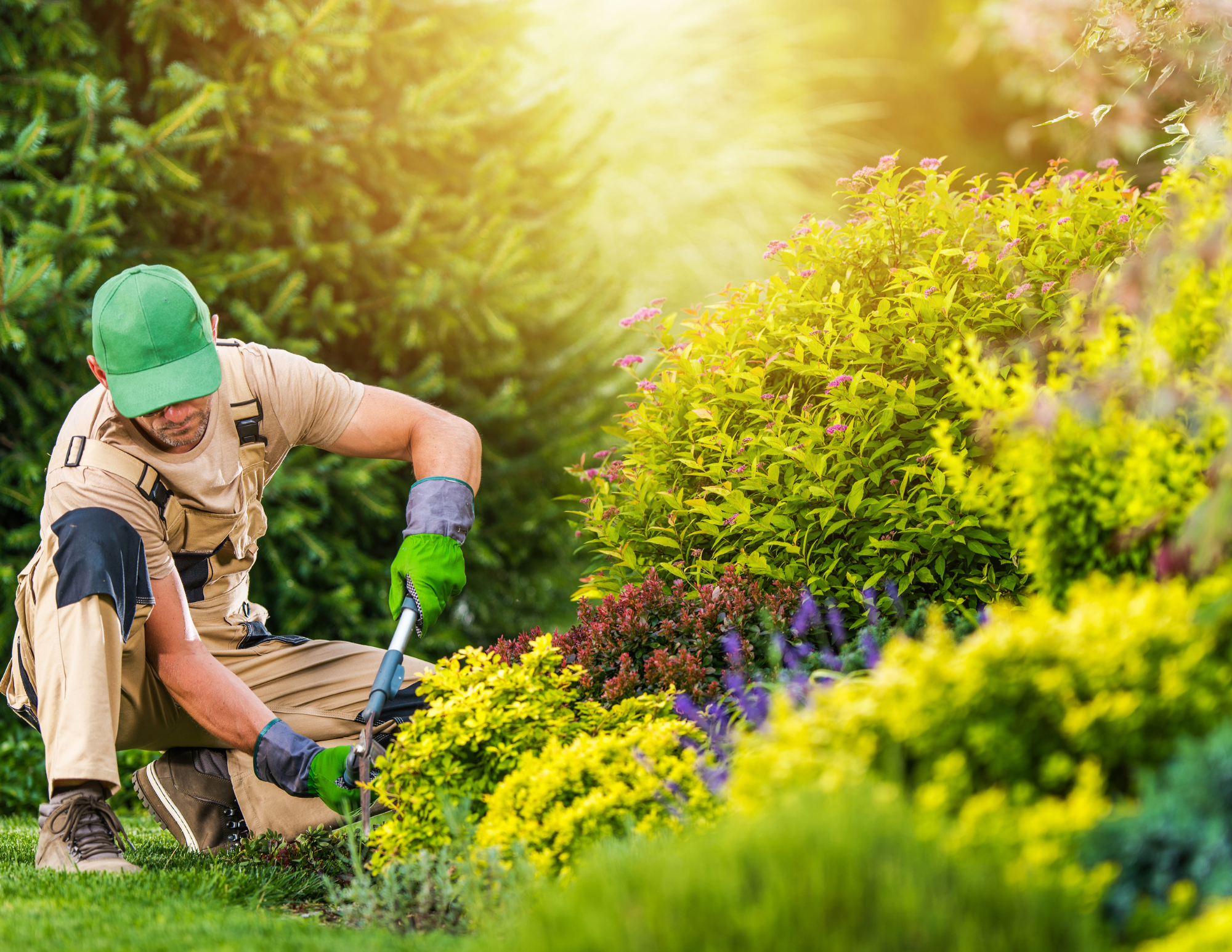 Landscaping vendor coordination