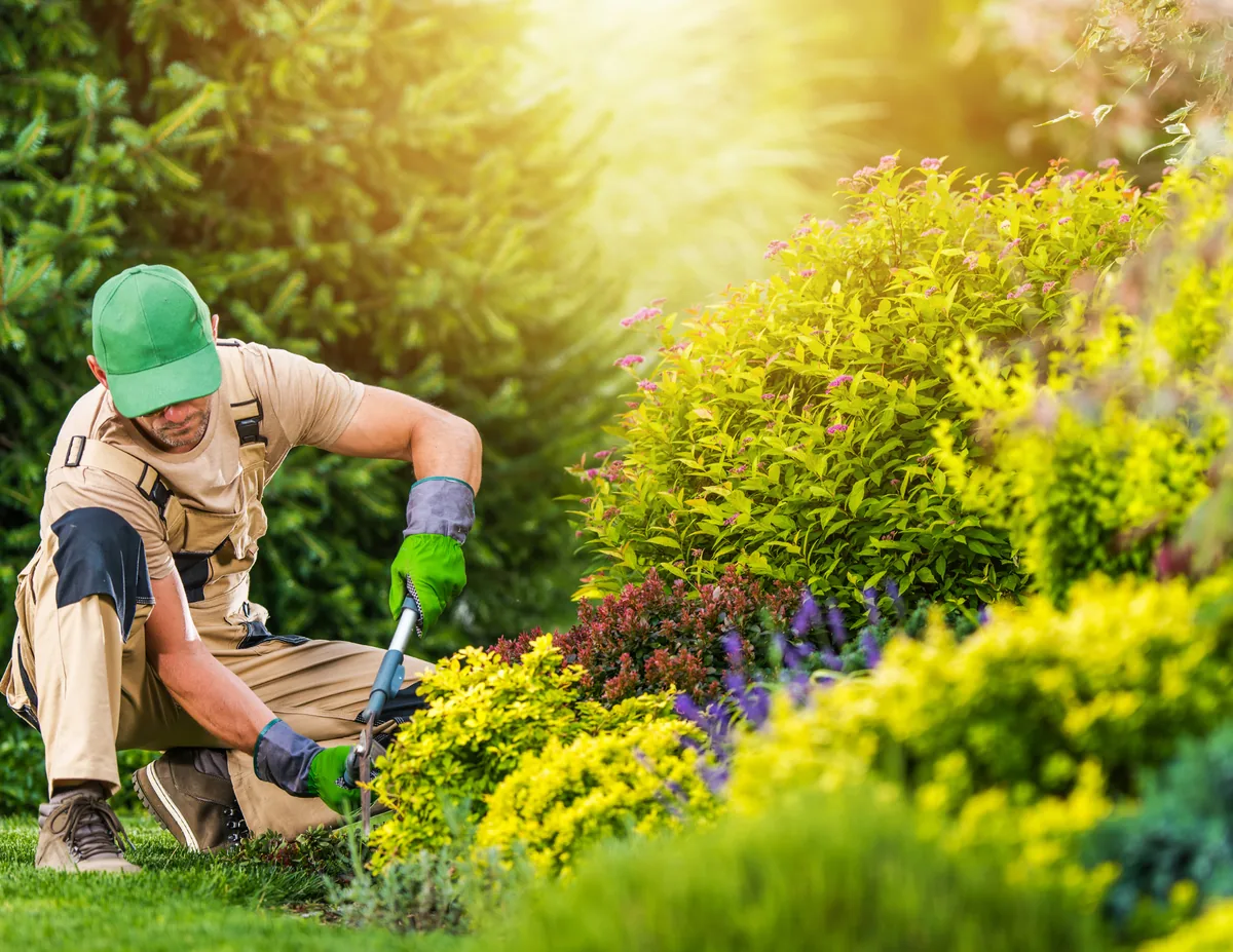 Landscaping vendor coordination